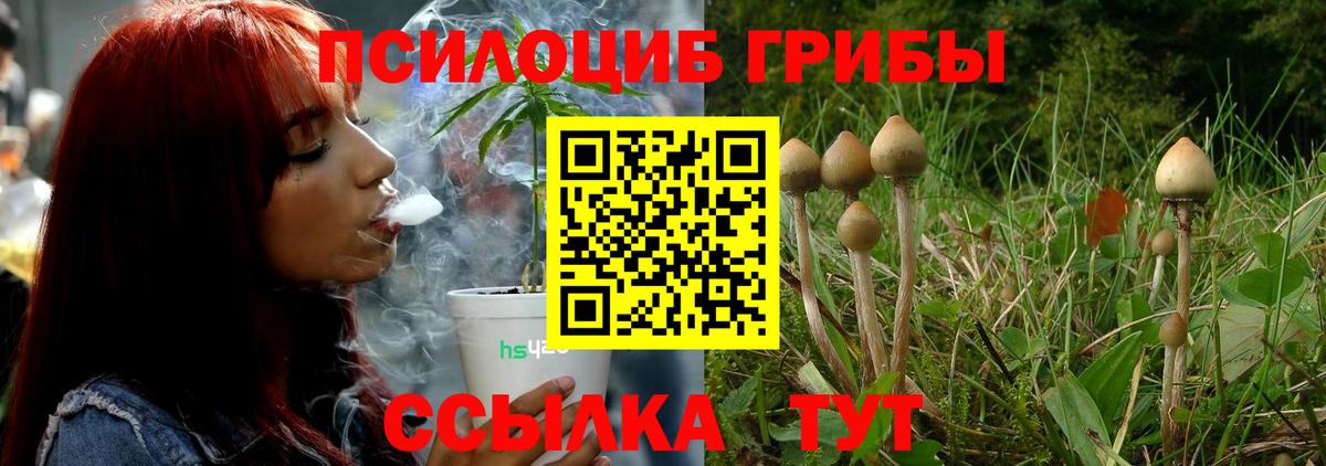Галлюциногенные грибы Psilocybine cubensis  Вход с VPN  Псилоцибиновые грибы мухоморы  купить  сайты  Мценск 